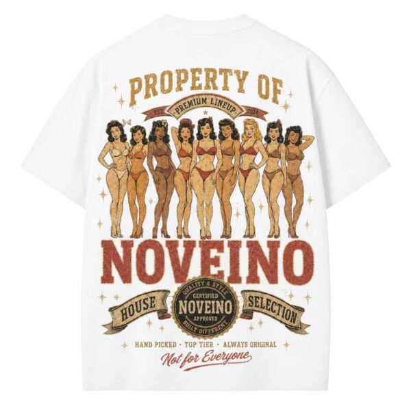 Noveino properties