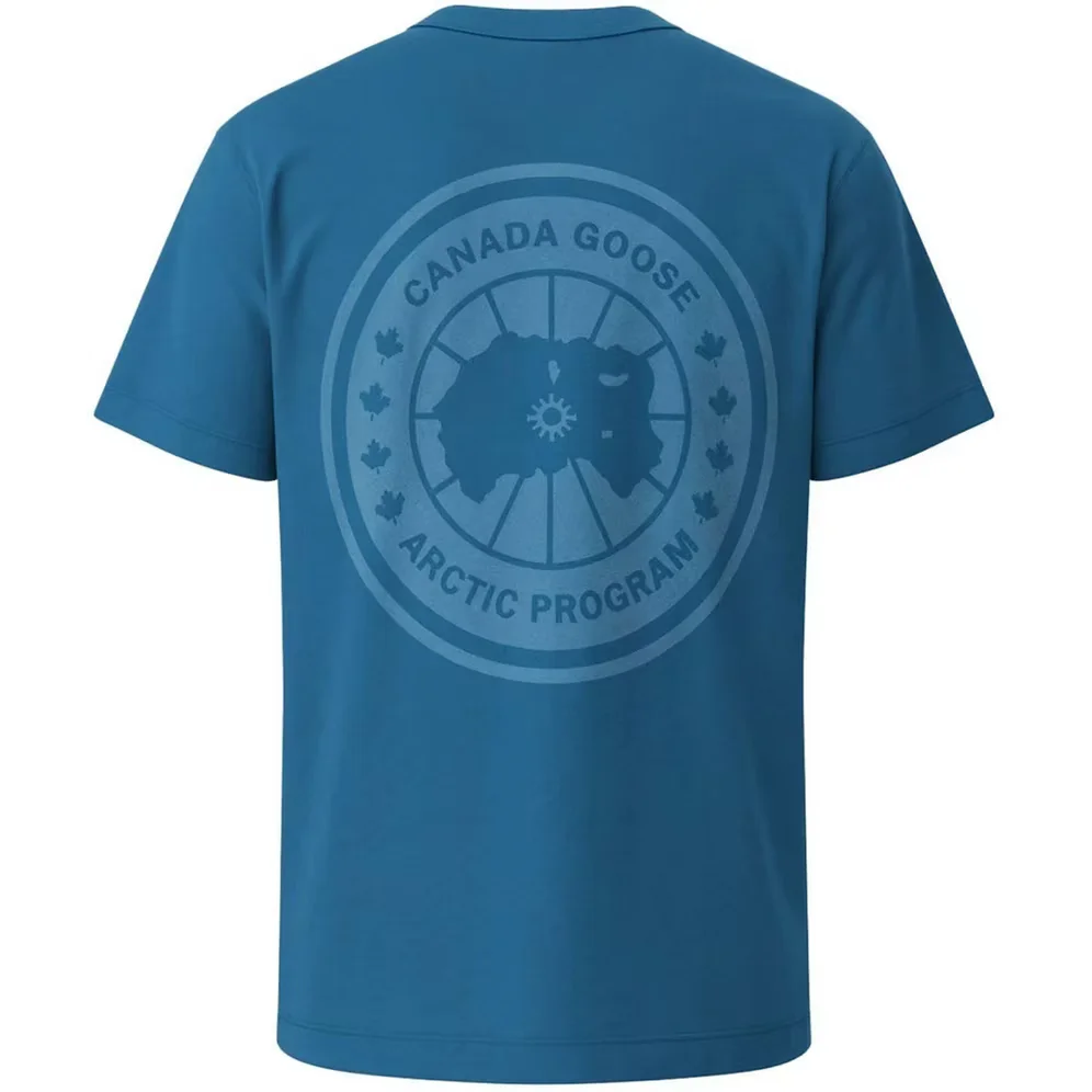 canada goose #12