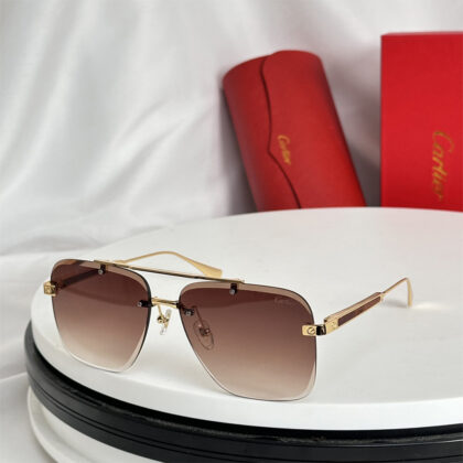 Cartier, Premiere, Unisex Eyewear