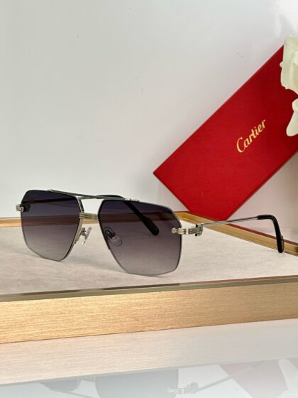 Cartier, Premiere, Unisex Eyewear