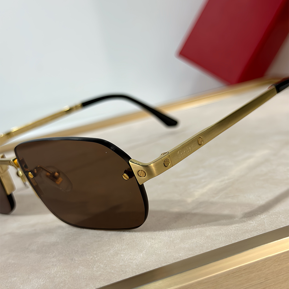 Cartie, Santos Rectangle Frame, Unisex Sunglass - Afbeelding 2