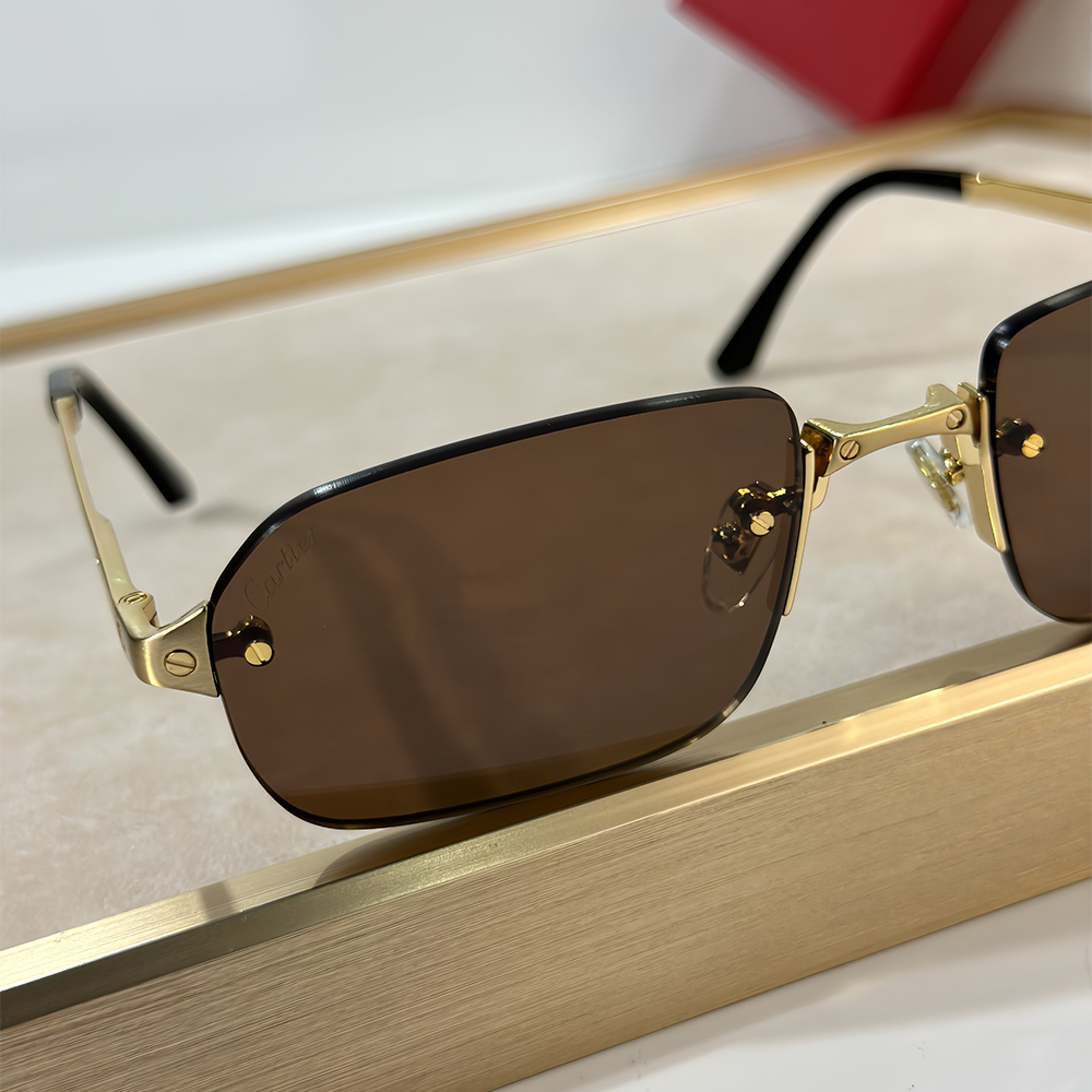 Cartie, Santos Rectangle Frame, Unisex Sunglass - Afbeelding 4