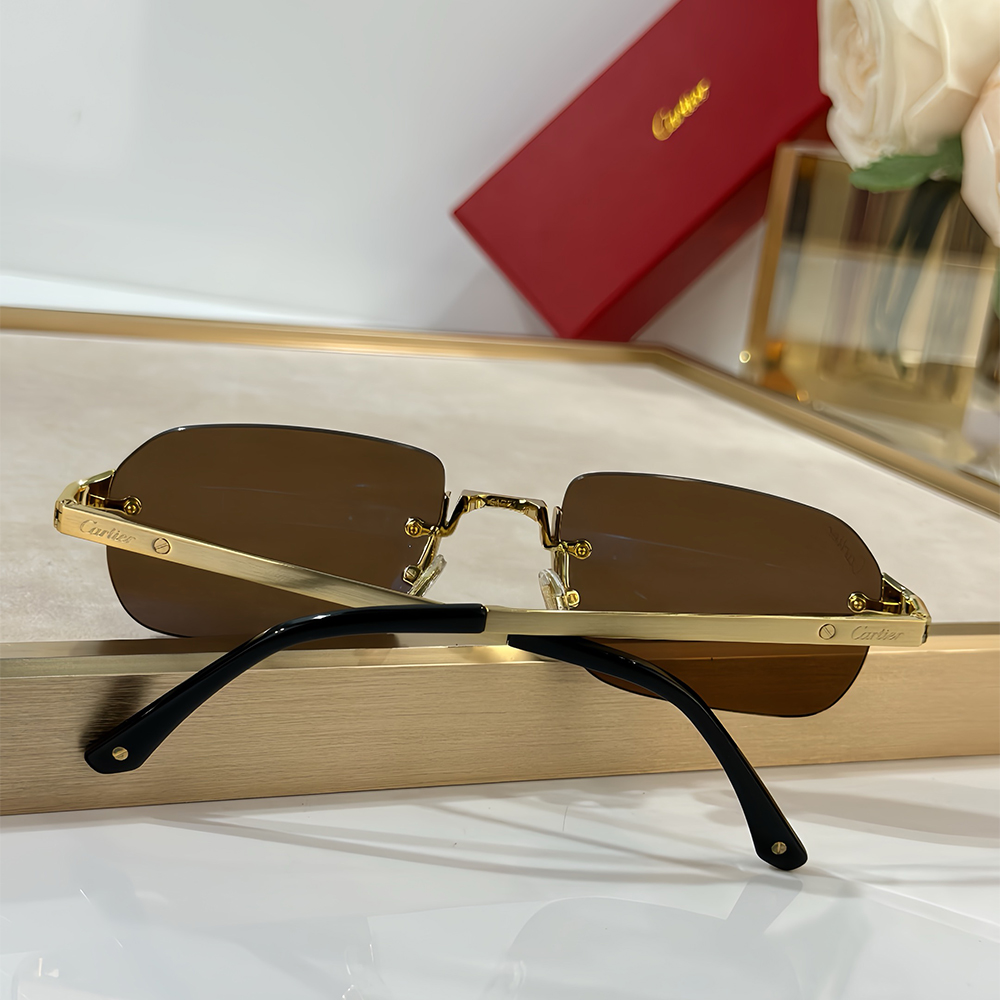 Cartie, Santos Rectangle Frame, Unisex Sunglass - Afbeelding 6