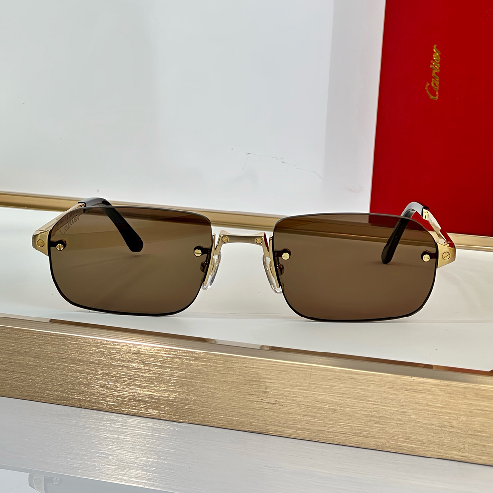Cartie, Santos Rectangle Frame, Unisex Sunglass - Afbeelding 7