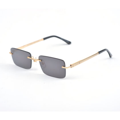 Cartier, Santos, Unisex Eyewear
