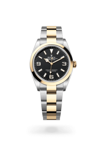 Rolex Explorer 40mm — Oystersteel & yellow gold