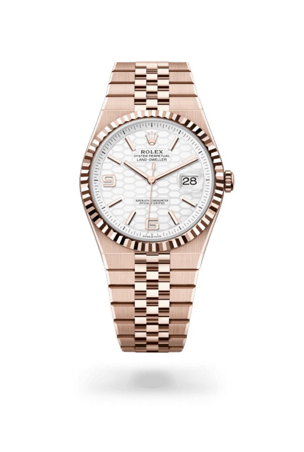 Rolex Land-Dweller 40mm — Oystersteel & Everose gold